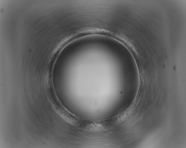 X0000078890159200611131239