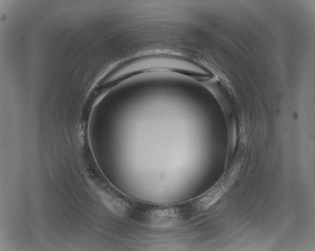 X0000078890160200611131239