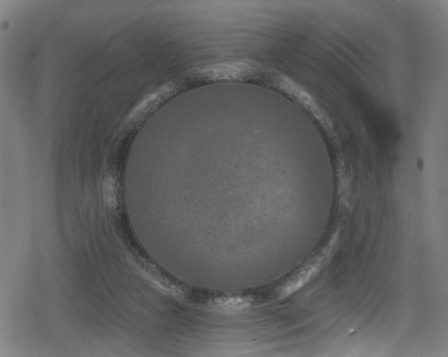 X0000078890161200611131239