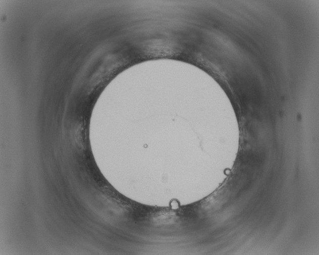 X0000078890162200611131239