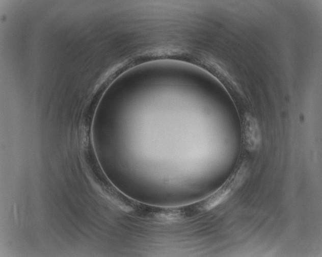 X0000078890164200611131239