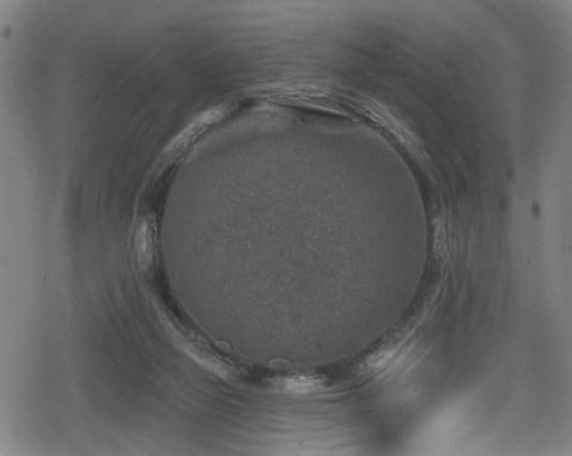 X0000078890165200611131239