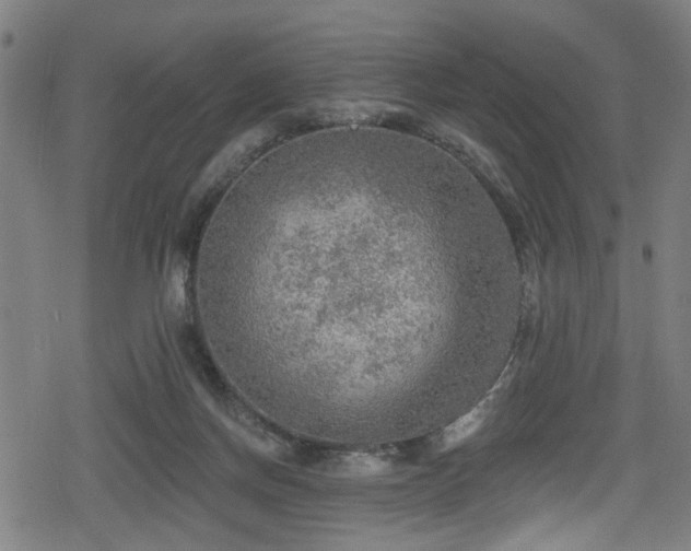 X0000078890166200611131239