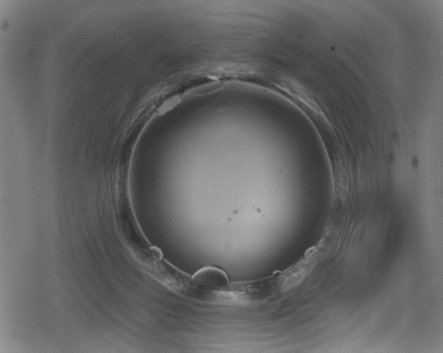 X0000078890167200611131239