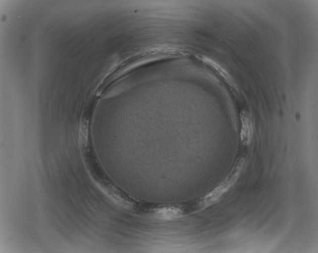 X0000078890168200611131239