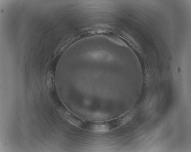 X0000078890169200611131239