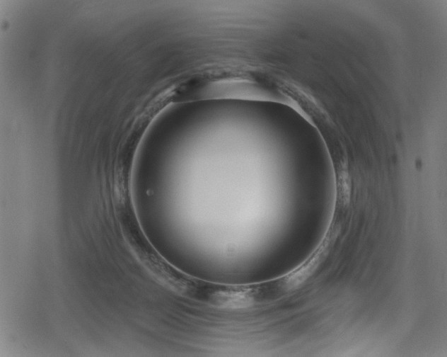 X0000078890170200611131239