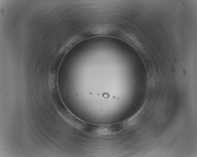 X0000078890171200611131239