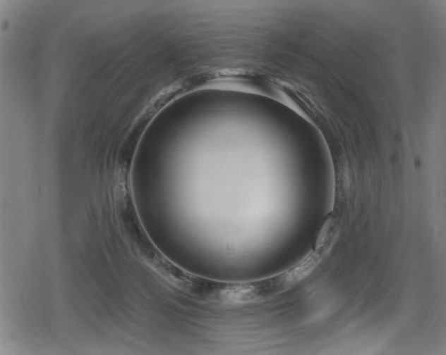 X0000078890172200611131239