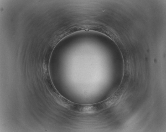 X0000078890173200611131239