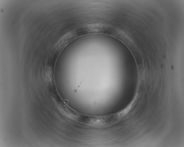 X0000078890174200611131239