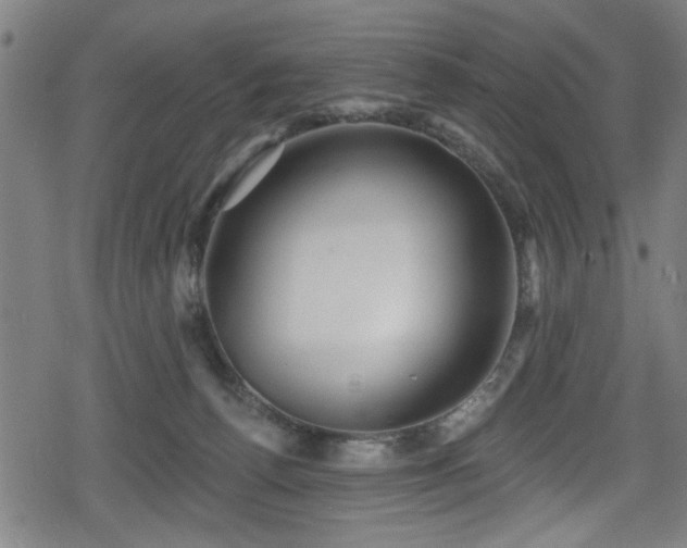 X0000078890176200611131239