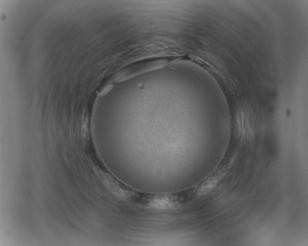 X0000078890177200611131239