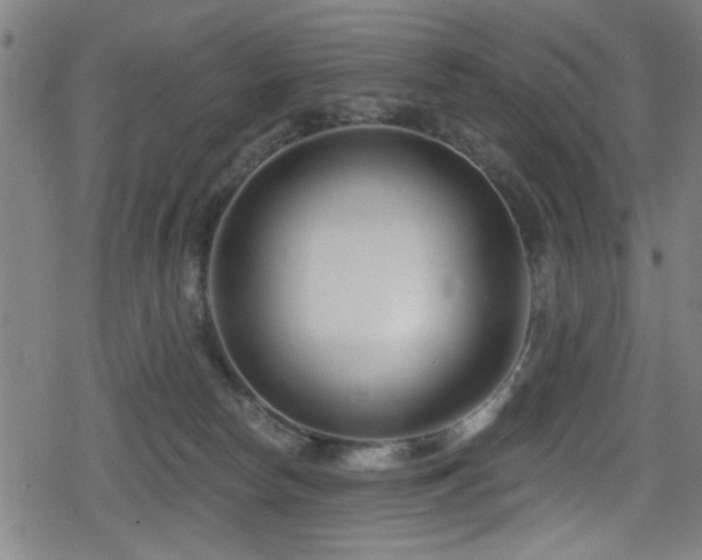 X0000078890178200611131239