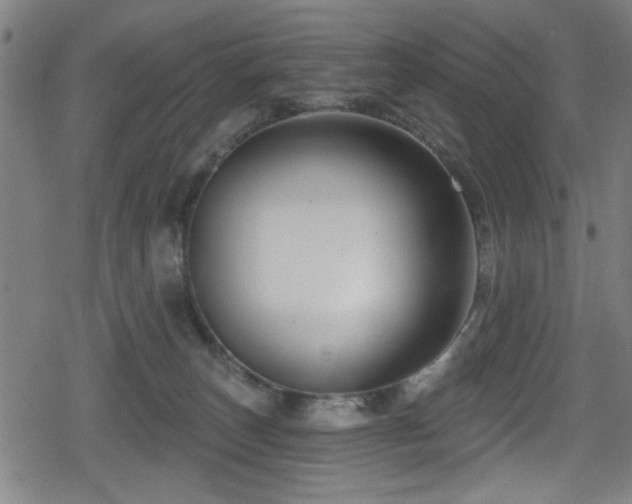 X0000078890179200611131239