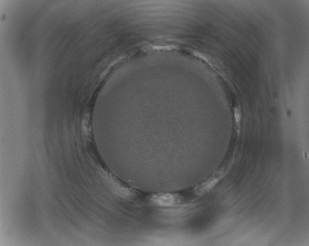 X0000078890181200611131239