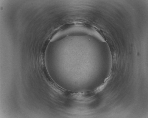 X0000078890182200611131239