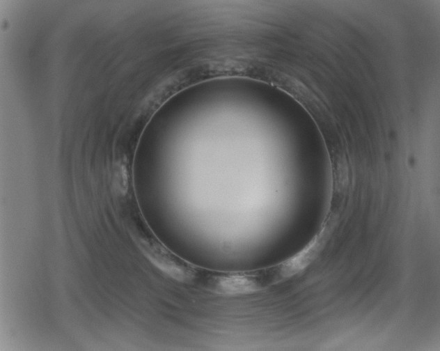 X0000078890183200611131239