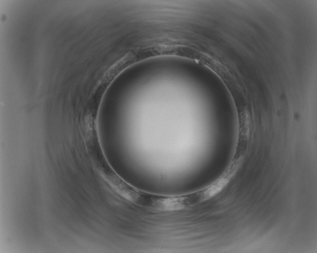 X0000078890184200611131239