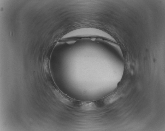 X0000078890185200611131239