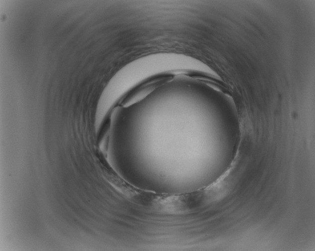 X0000078890186200611131239