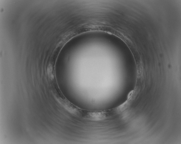 X0000078890187200611131239