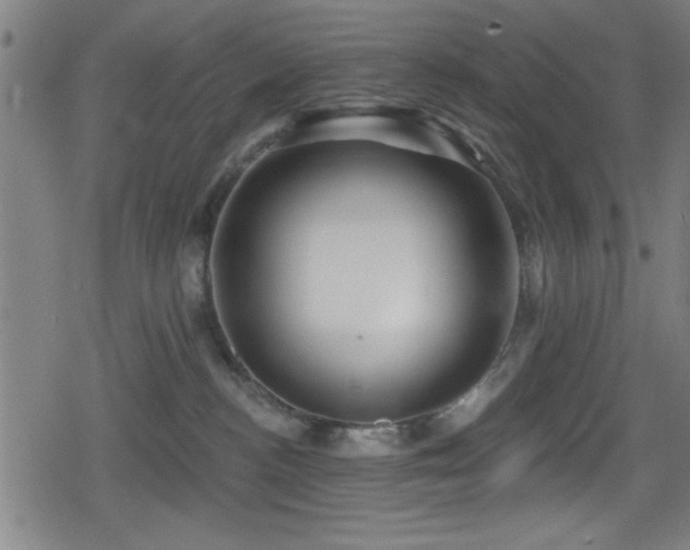 X0000078890188200611131239