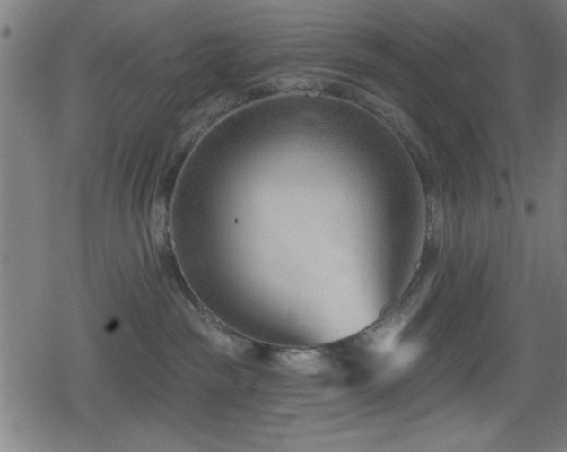 X0000078890189200611131239