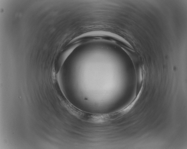 X0000078890190200611131239