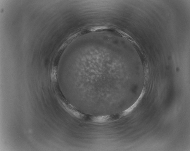 X0000078890191200611131239