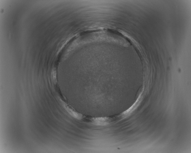 X0000078890192200611131239