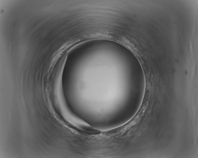 X0000078890193200611131238