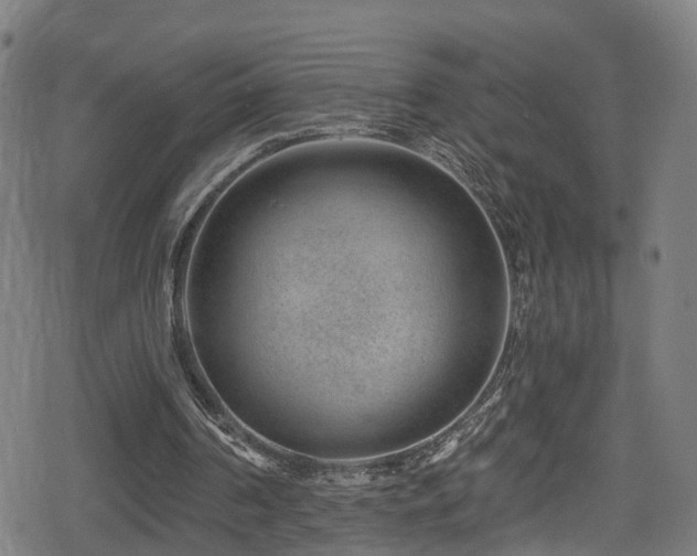 X0000078890194200611131238