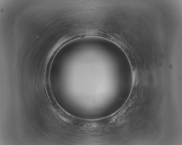 X0000078890195200611131238