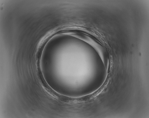 X0000078890197200611131238