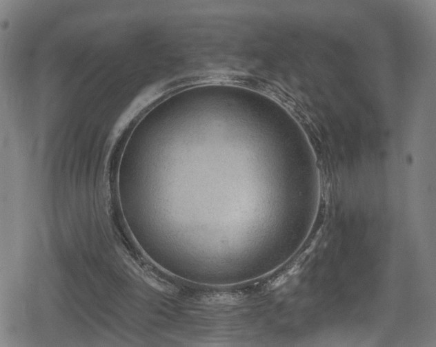 X0000078890198200611131238