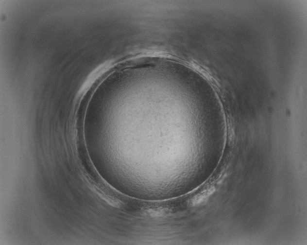 X0000078890199200611131238