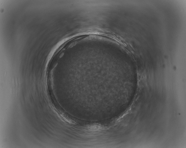 X0000078890200200611131238