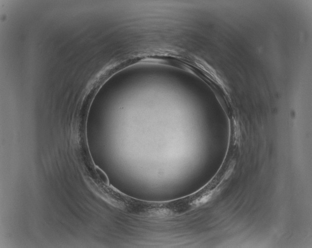 X0000078890203200611131238