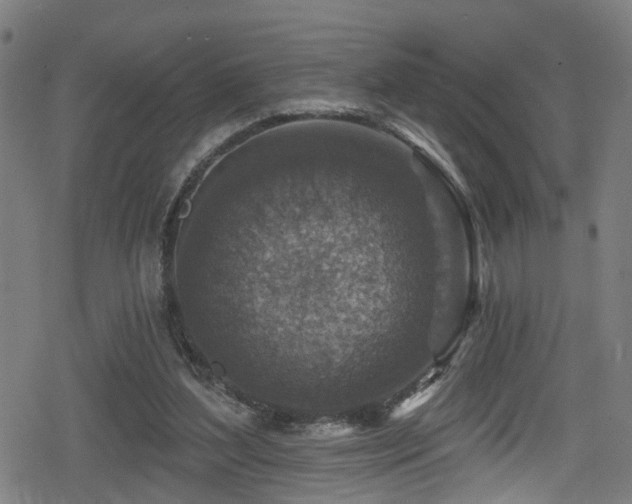 X0000078890204200611131238