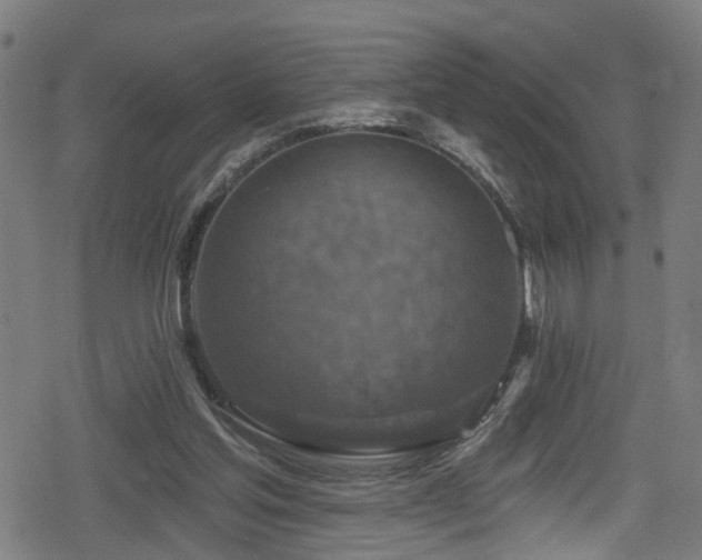 X0000078890205200611131238