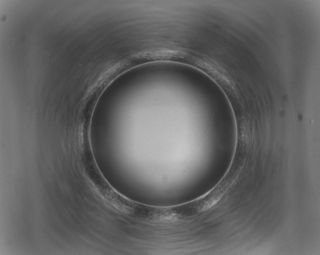 X0000078890206200611131238