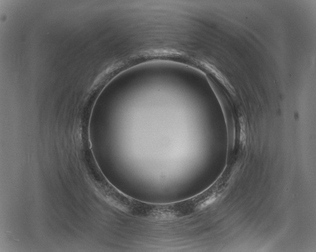 X0000078890207200611131238