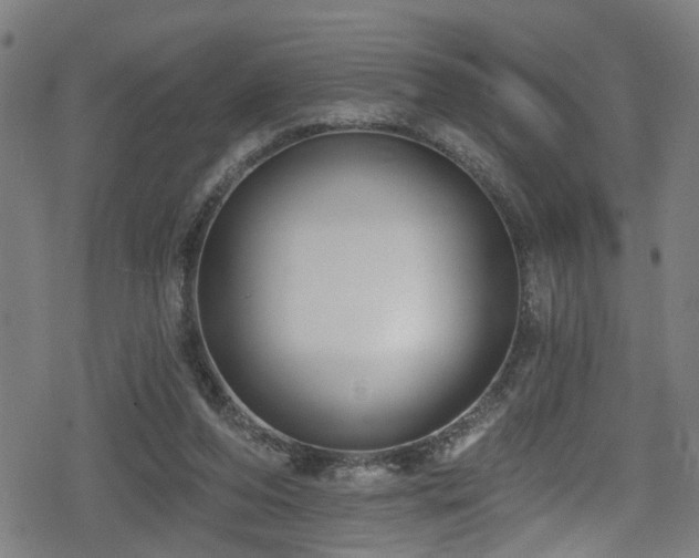 X0000078890208200611131238