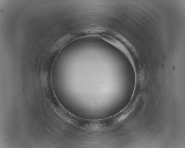 X0000078890209200611131238