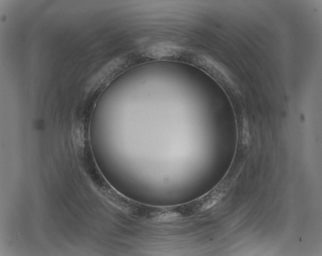 X0000078890210200611131238