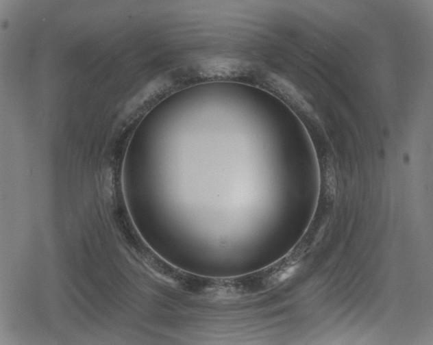 X0000078890211200611131238