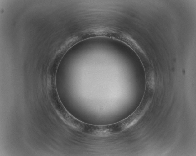 X0000078890213200611131238