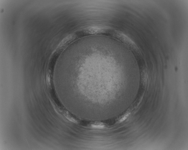 X0000078890214200611131238