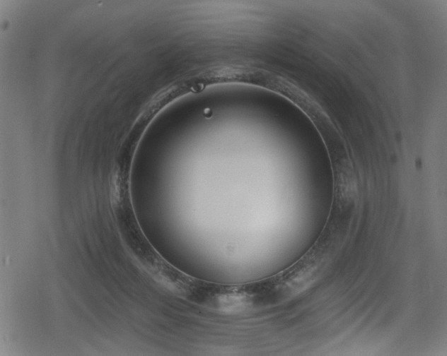 X0000078890216200611131238